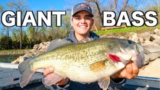 Fishing Crankbaits for GIANT Bass!!!