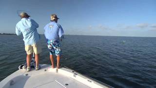 Fishing Crystal River Florida for Tarpon Fish Jumps in Boat
