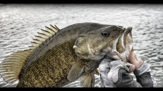 Going Ike! Small Mouth Bass Fishing In Pennsylvania