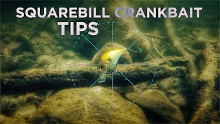 How and When to Target Bass With “Hunting” Squarebill Crankbaits