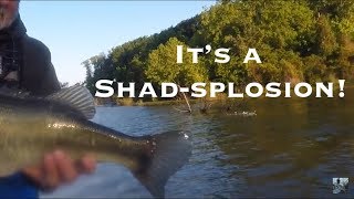 Lake Fork Spring Bass Fishing: Shad Spawn Tips and Techniques