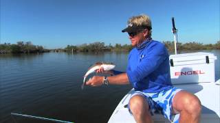 Mirrolure Surface Walker Topwater Plugs for Redfish Trout and Snook