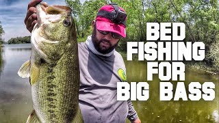 The Secrets of Bed Fishing – How to Fish for Bass During the Spawn