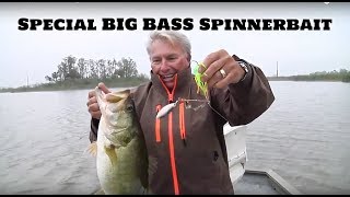 This Special Spinnerbait Catches Big Bass all the time!