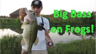 18 Pound Limit of Bass on Frogs — AWESOME BLOWUPS!