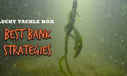 BEST Bank Fishing Strategies For Bass
