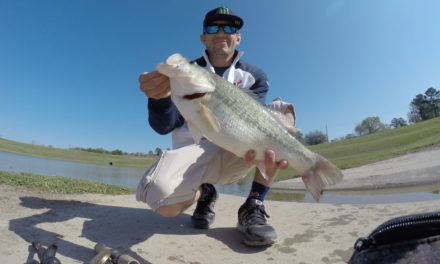 Bass fishing (Retention ponds) 1080p HD
