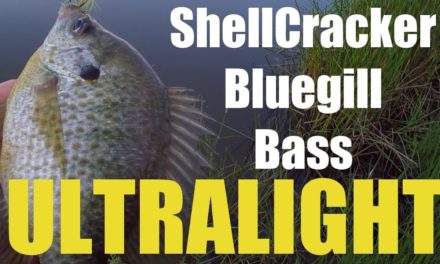 Catching Shellcrackers Bluegill and Bass (Fishing With Ultralight Lures)