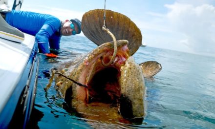 BlacktipH – Caught a Monster Grouper that Weighed MORE than the BOAT
