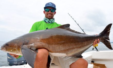 BlacktipH – Caught the Biggest Cobia of my Life!!