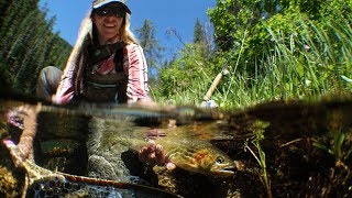 FLY FISHING – High Country Cutthroat By Todd Moen
