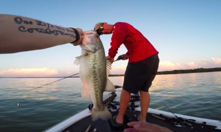 Lunkers TV – Fishing BIG Baits for BIG Bass!!