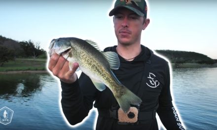 How To Catch More Bass On Topwater with LFG!