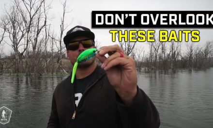 How To Fish 3 Unique Moving Baits To Catch More Bass