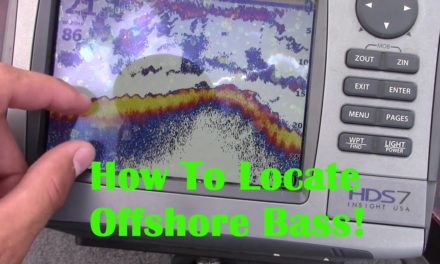 How To Locate and Catch Offshore Bass — Kentucky Lake