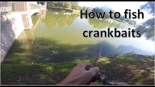 How to Fish Squarebill Crankbaits for Bass