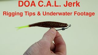 Salt Strong | – How to Rig a DOA Jerk Bait for Saltwater Fishing – Underwater Footage Included