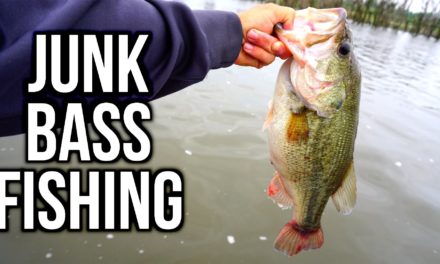 Flair – Junk Fishing for Spring Bass