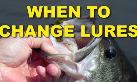 Know How Long To Fish A Lure! | Bass Fishing