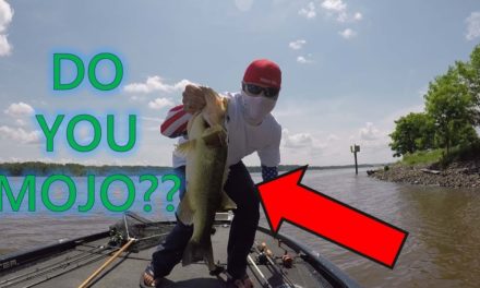 MOJO FOR THE WIN?? Finesse Potomac Bass Fishing (CLUTCH!!)DBUDBD #4