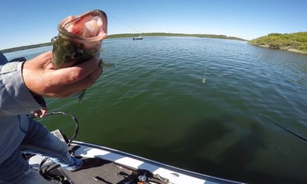 Lunkers TV – Never Seen This While Bass Fishing