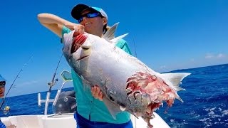 Salt Strong | – Offshore Fishing from Sarasota [Amberjack, Snapper, Grouper]