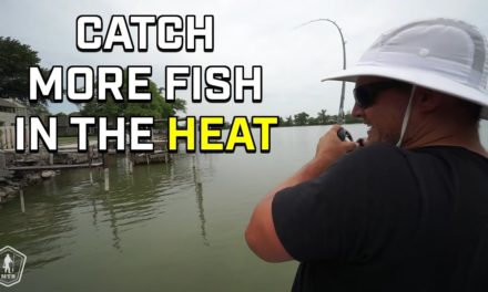 Post Spawn Bass Fishing Tips For The Summer Heat