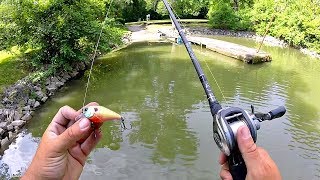 Searching for BIG BASS in Scorching Heat!! (Crankbait Fishing)