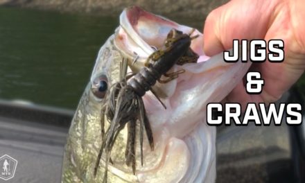 Summer Bass Fishing: Dragging Jigs & Flipping Craws