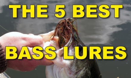 The 5 Best Bass Lures | Bass Fishing