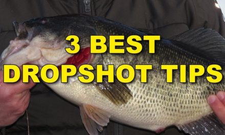 The Best Dropshot Tips (Because They Work!) | Bass Fishing