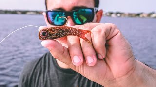 Lawson Lindsey – This Stupid Looking Lure Catches Multiple BIG Fish!