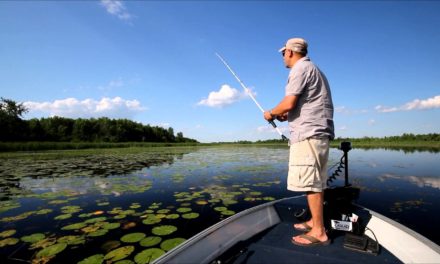 Tips for Fishing Topwater Frogs for Largemouth Bass