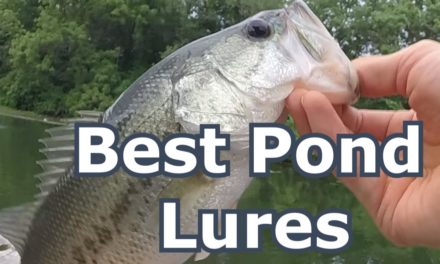 Two Best Lures for Pond Bass Fishing – Summer Tips and Tricks