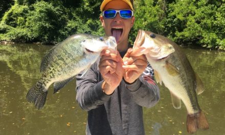 Where, how to catch summertime crappie — and bass!