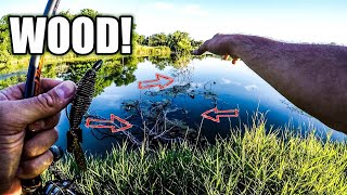 Bank Fishing for BEGINNERS: How to Fish WOOD for SUMMER BASS (Pitching Texas Rigs)