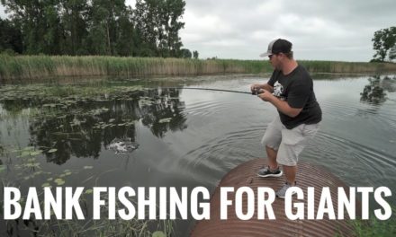 Scott Martin Pro Tips – Bank Fishing for GIANTS!