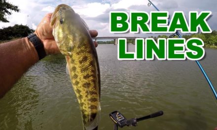 Bass Fishing Break Lines On River Systems