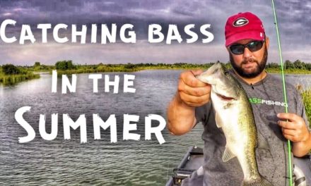 Bass Fishing in the Summer – Only 3 Hours to Fish