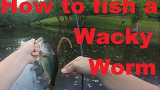 Best Pond Bass fishing lure – How to fish a Wacky Worm