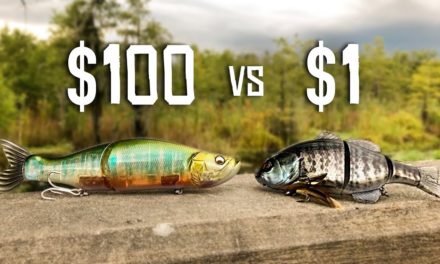 CHEAP vs EXPENSIVE Swimbait Fishing CHALLENGE!!! (HUGE BASS)
