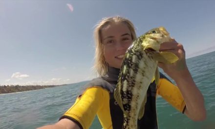 Calico Bass Fishing – Southern California