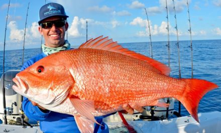 BlacktipH – EPIC Offshore Fishing Adventure in the Middle Grounds