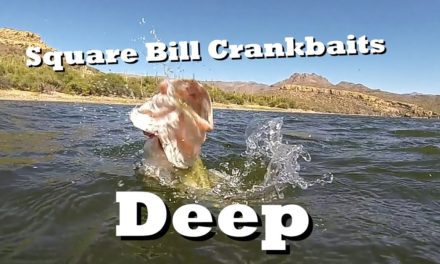 Fishing Square Bill Crankbaits in 20 feet of water