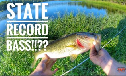 Fishing a Lake that Has STATE RECORD BASS!!!