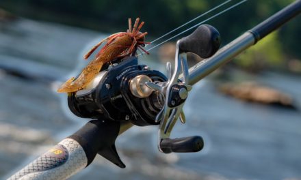 HOW TO Fish For Bass In Current (Summer Fishing Tips)