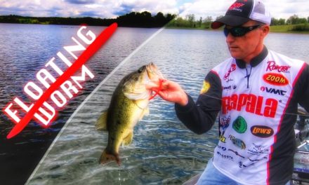 How to Fish a Floating Worm for Bass