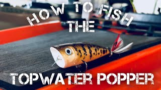 FlukeMaster – How to Fish a Topwater Popper – Bass Fishing