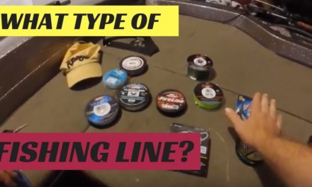 How to choose fishing line for bass