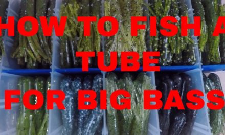 How to fish a plastic tube bait for huge Smallmouth Bass